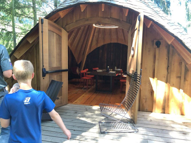 Visit the tree office that Microsoft makes employees, chatting, working or sunbathing Picture 6
