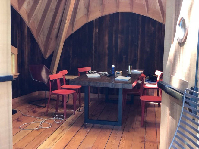 Visit the tree office that Microsoft makes employees, chatting, working or sunbathing Picture 7