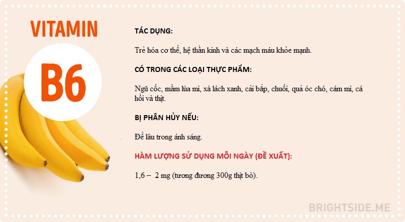 Vitamins and all you need to know Picture 5