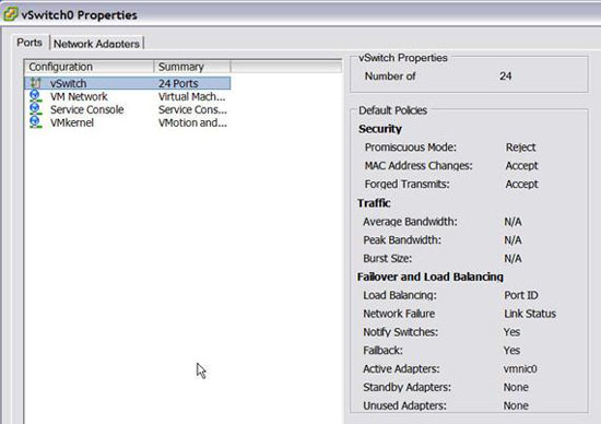 VMware: Find out about Virtual Switch Picture 4