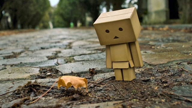 Wallpaper for lonely people Picture 29