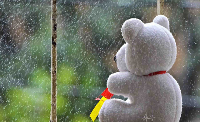 Wallpaper for lonely people Picture 35