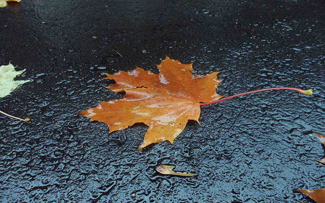 Wallpaper for lonely people Picture 37