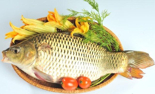 Want skin without wrinkles, long-term children eat these foods Picture 1