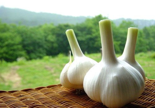 Want skin without wrinkles, long-term children eat these foods Picture 5