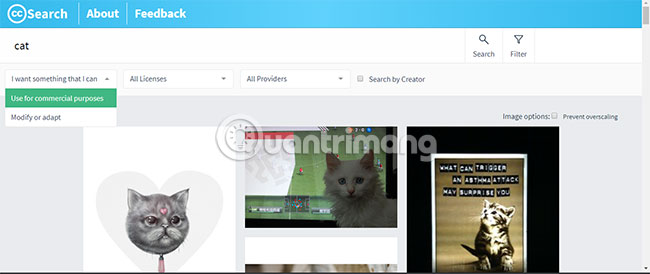 Want to find Stock stock images for free? Do not ignore these websites! Picture 11