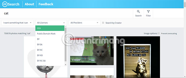 Want to find Stock stock images for free? Do not ignore these websites! Picture 12