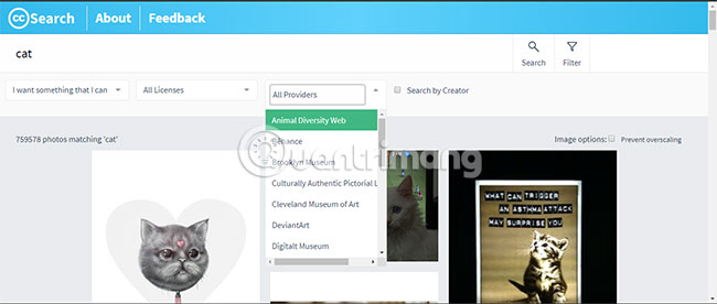 Want to find Stock stock images for free? Do not ignore these websites! Picture 13