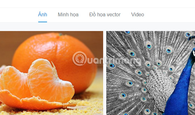 Want to find Stock stock images for free? Do not ignore these websites! Picture 2