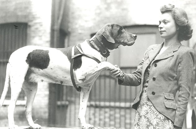 War and 10 inspirational stories live Picture 2