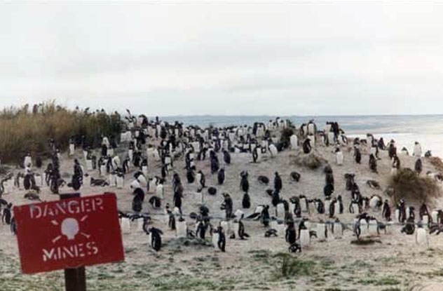 War and 10 inspirational stories live Picture 6