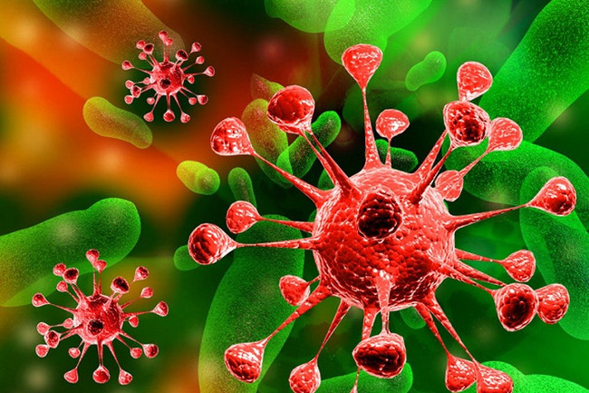 Warning: Detect a new bird virus that has been infected with MRSA Picture 1