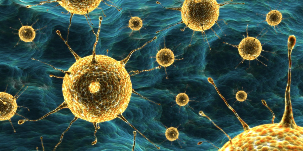 Warning: Detecting new bacteria resistant to antibiotics to treat kidney disease Picture 1