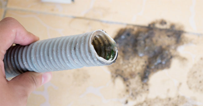 Washer errors and how to fix them Picture 2