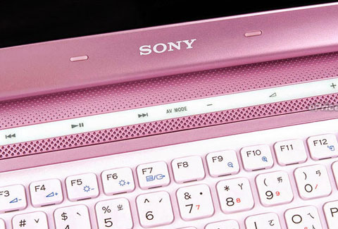 Watch Sony Vaio crocodile skin Picture 11