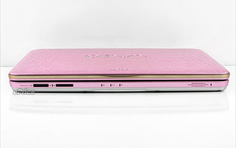 Watch Sony Vaio crocodile skin Picture 14
