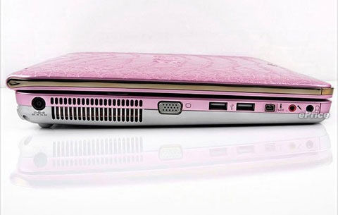 Watch Sony Vaio crocodile skin Picture 15