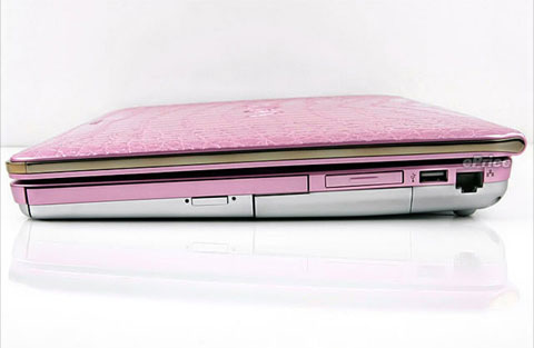 Watch Sony Vaio crocodile skin Picture 17
