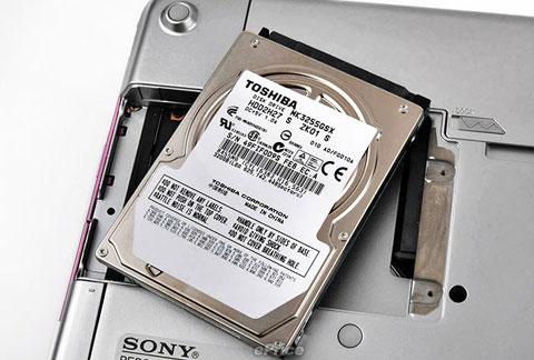 Watch Sony Vaio crocodile skin Picture 20