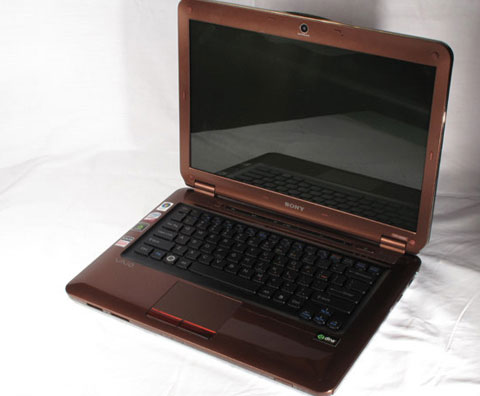 Watch Sony Vaio crocodile skin Picture 25
