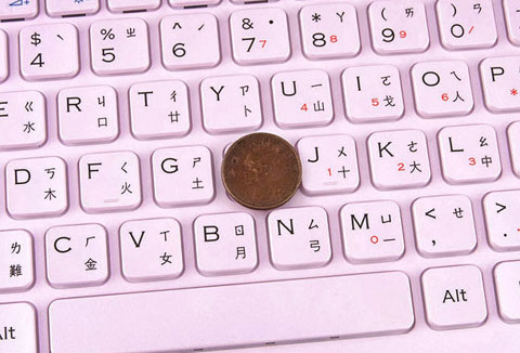 Watch Sony Vaio crocodile skin Picture 9