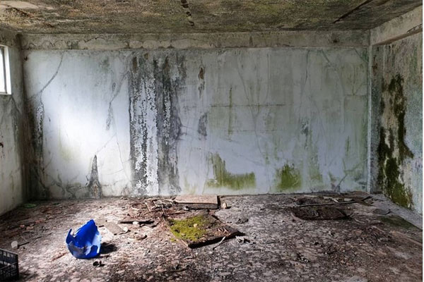 Watch your eyes on the talented graffiti artist turn ugly, tedious walls into stunning 3D works Picture 1