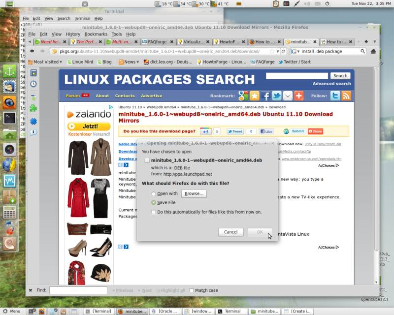 Watch YouTube videos on Linux Mint 11 with Minitube Picture 4