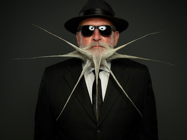 Watching 20+ 'most charming' beard wins the World Beard And Mustache 2017! Picture 16