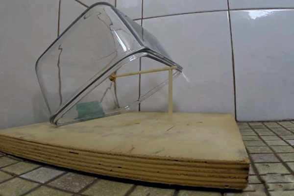 Ways to make smart mouse traps with simple household items Picture 15