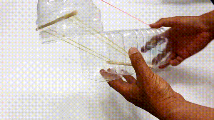 Ways to make smart mouse traps with simple household items Picture 6