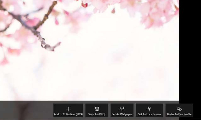 Ways to use Desktop Dynamic Wallpapers Unsplash backgrounds Picture 2