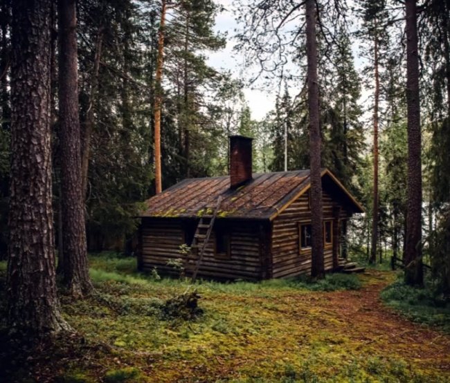 We bet 99% you can't find all the animals 'hiding' in the collection below! Picture 11