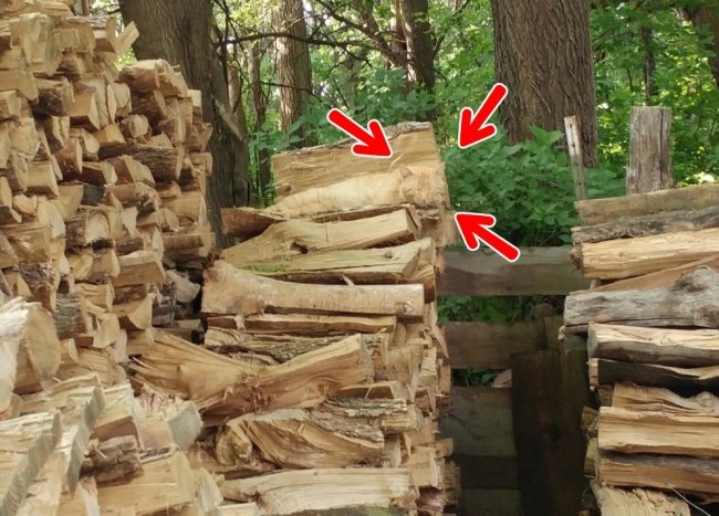 We bet 99% you can't find all the animals 'hiding' in the collection below! Picture 13