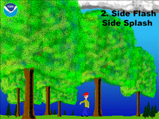 We can still survive after being struck by lightning, why? Picture 4