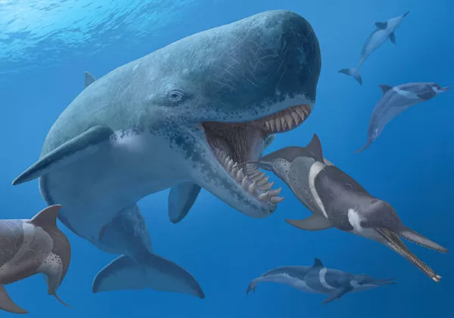What ancient monsters can kill Megalodon super shark? Picture 1