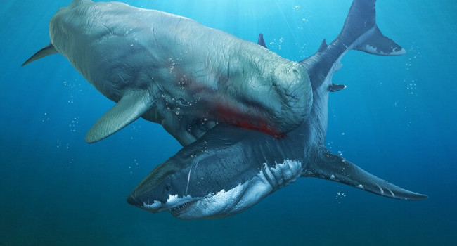 What ancient monsters can kill Megalodon super shark? Picture 5