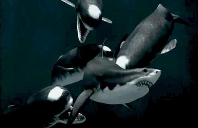 What ancient monsters can kill Megalodon super shark? Picture 6