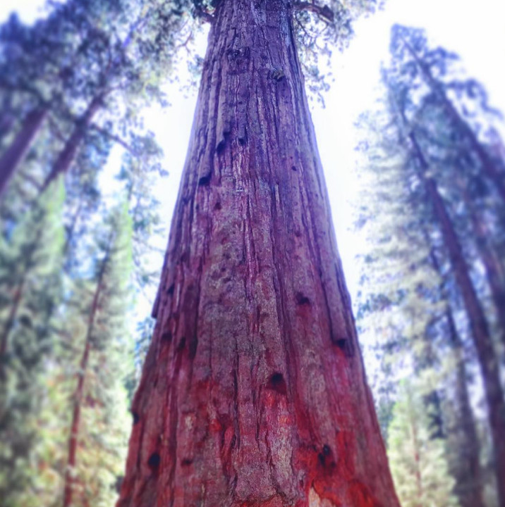 What bad thing will happen if the Sun suddenly disappears? Picture 5