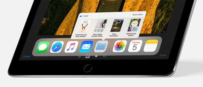 What can the iOS 11 file manager application do? Picture 7