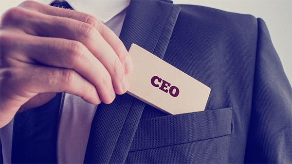 What does the CEO, CFO, CPO, CCO, CHRO, CMO mean? Picture 1