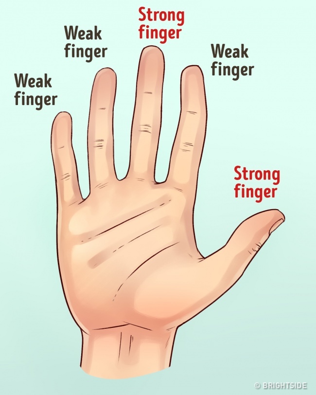 What Does The Hand Reveal About Your Personality? - TipsMake.com