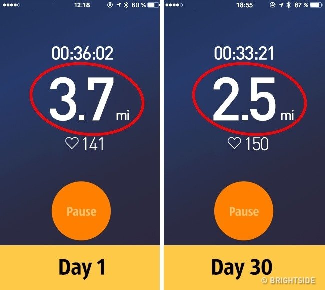 What happens to the body if you drink beer regularly? Picture 5