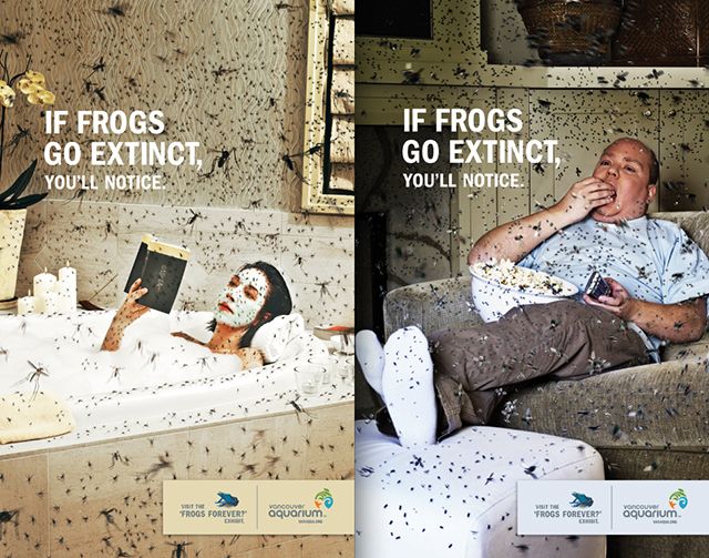 What horrible thing will happen to the Earth if the frogs become extinct? Picture 4