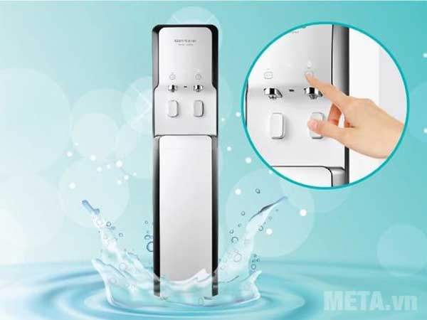 What is a hot and cold water plant without a vase? How much? Picture 6