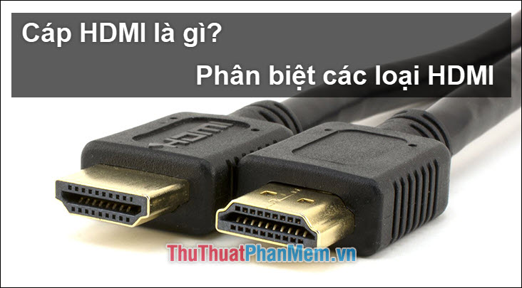 What is an HDMI cable? How many types of HDMI cables are there? The similarities and differences between them Picture 1
