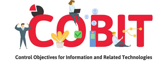 What is COBIT? What is the role of the business? Picture 5