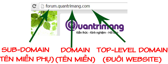 What is DNS and DNS Lookup? Picture 2