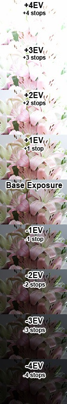 What is exposure and exposure triangle in photography? Picture 1