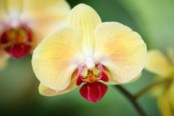 What is exposure and exposure triangle in photography? Picture 4