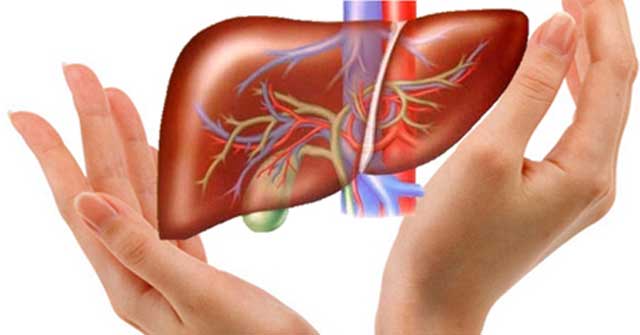What is fatty liver? Is fatty liver disease dangerous? Picture 1